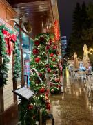 Theatre View In the heart of the city - Ultracentral Apartment Christmas Market Craiova