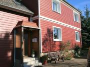 Sparrow in the house Tanneneck