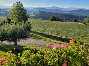 Holiday home in Weitnau with swimming pool