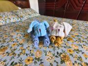 CASA BRISA & MAR - Atalaia Beach next to Vidam