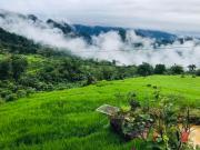 OH Pu Luong Homestay