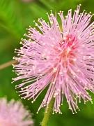 Top Agua Azul Top Agua Azul