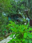 Top Koh Rong