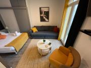 Grand studio lumineux, Nice !