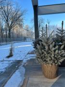 Top Moszna Top Moszna