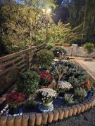 Top Băile Olăneşti