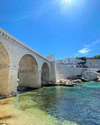 Malmousque City House with Patio & Cat