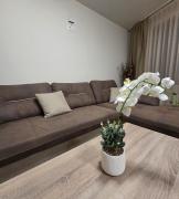 Апартаменти Шадравана