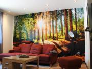 Top Bestwig Top Bestwig