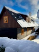 Traditional deer Cabin with Sauna - Chata Srňacie