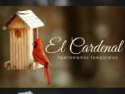 El Cardenal sinsacate