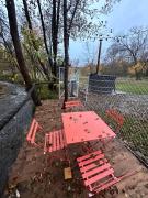 Top Aninişu din Deal Top Aninişu din Deal