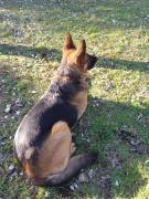 Top Colonia Chapadmalal