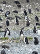 Top Ushuaia