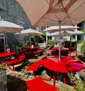 Top Veracruz Top Veracruz