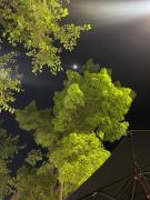 Habitación Individual Luz & Calma