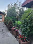 Top Vărsătura Top Vărsătura