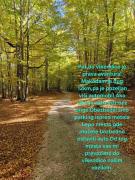 Vikendica Kločanica