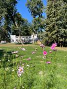 Top Huszlew Top Huszlew