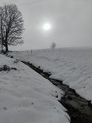 Top Krzywa Top Krzywa