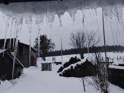 Top Krzywa Top Krzywa