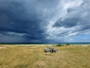 Summer house with wellness area