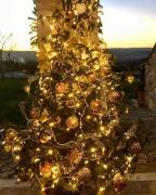 Top Lugnano in Teverina