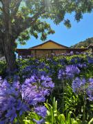 chales 03 canário fogo