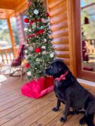 Top Murphy Top Murphy