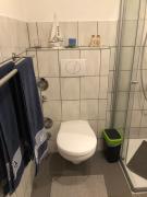 Top Rabenholz