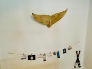 Top Norderney Top Norderney