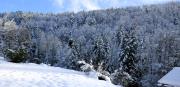 Top Tegernsee