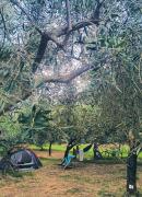 Camping Volme Tent Camping Volme Tent