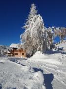 Top Les Saisies
