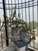 Shivalay - Home away from Home