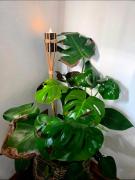 Top Saint-Léonard-de-Noblat