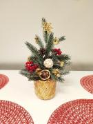 Top Bukowina Tatrzańska