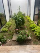 Top San José Del Guaviare