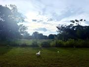 Top San José Del Guaviare