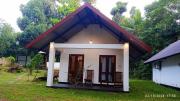 Walwa palm villa