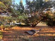 Magnifique chalet cosy