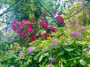 Top Schwäbisch Gmünd