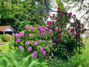 Top Schwäbisch Gmünd