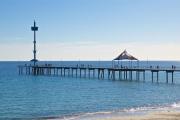 Top Brighton