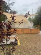 Eco Glamping Ataraxia
