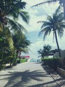 Top Playa del Carmen