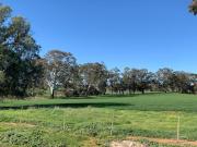 Top Mintaro Top Mintaro
