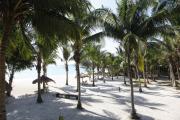 Top Havelock Island