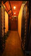 Top Alleppey