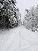 Top Smerekowiec Top Smerekowiec